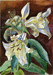 Белые лилии. 2008 г. акварель, 42х30 см