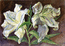Увядающие лилии. 2008 г. акварель, 30х42 см